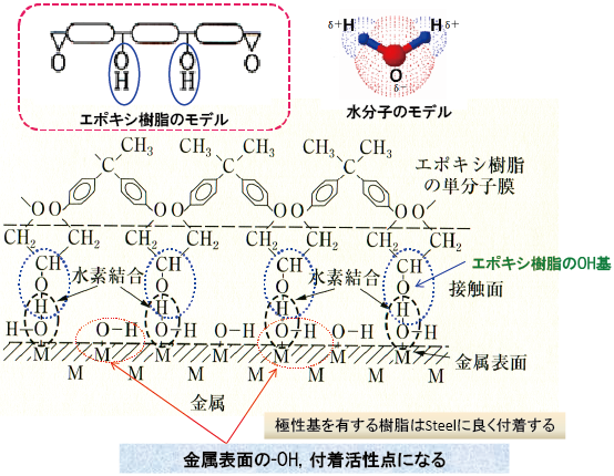 図5-1 グレーザーが提案した水素結合による接着メカニズム