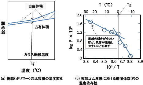 図5-5　塗膜の耐水性の支配要因としてTgを取り上げる根拠