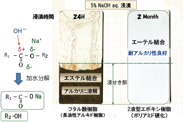 図5-6 塗膜の耐アルカリ性