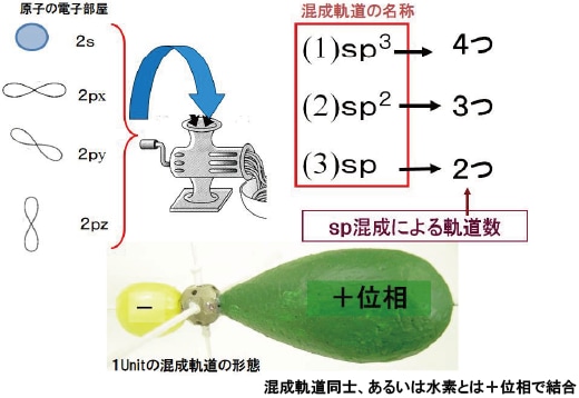 図5-11 2s, 2p軌道からできる混成軌道（Hybrid orbital）の構造と名称