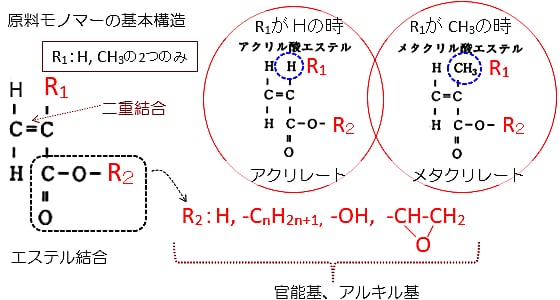 塗料用アクリル樹脂の原料モノマー（単量体）の基本構造