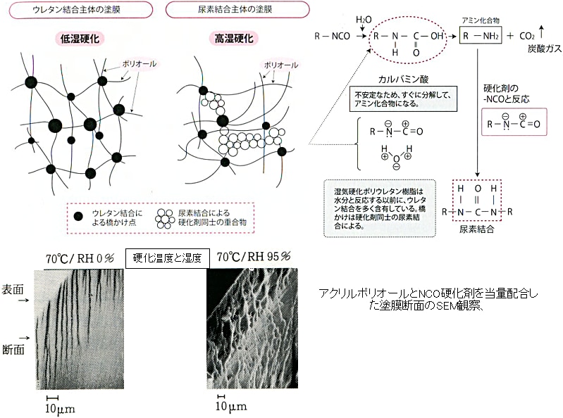 図5-53 2液型ポリウレタン塗料の橋かけ反応に及ぼす硬化湿度の影響