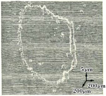 図5-60  酸性雨による塗膜への浸食